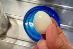 sirabee20240418uzura6