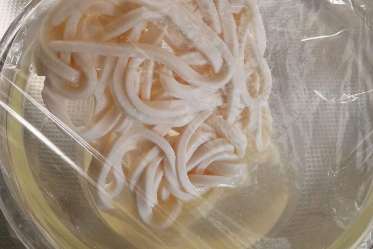 やる気1％でウマ塩うどん・うどん