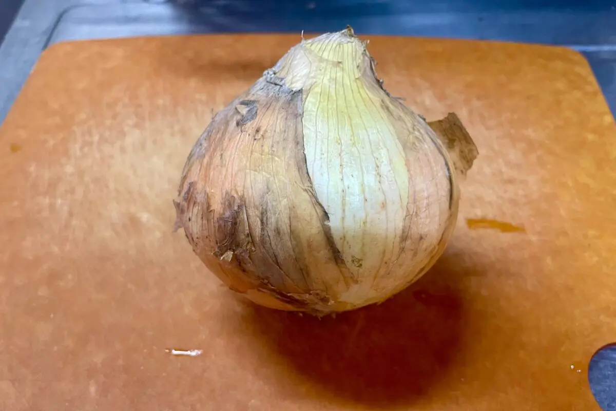 sirabee20240424onion1