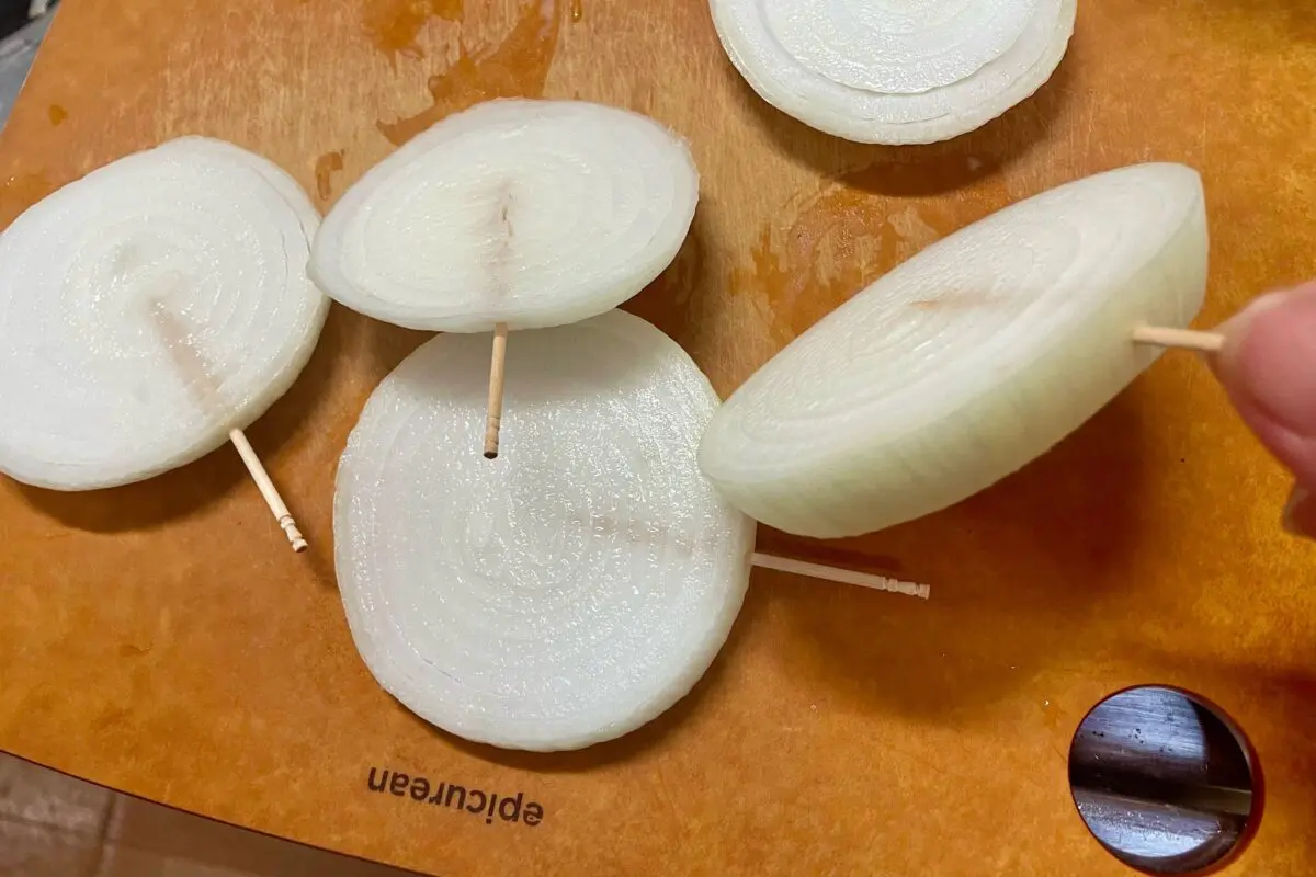 sirabee20240424onion3