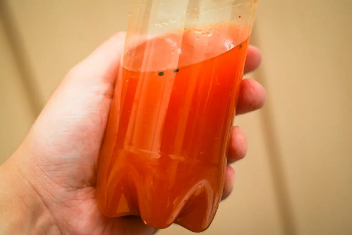 sirabee20240425bashauma_3