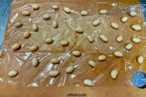 sirabee20240429soybean2