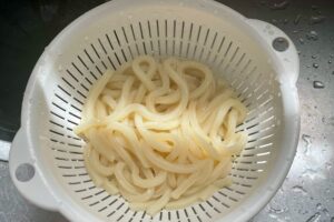 鶏がらねぎ塩まぜうどん