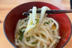 鶏がらねぎ塩まぜうどん