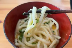 sirabee20240430udon6