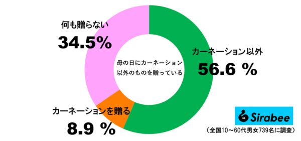 母の日にカーネーション以外のものを贈っている