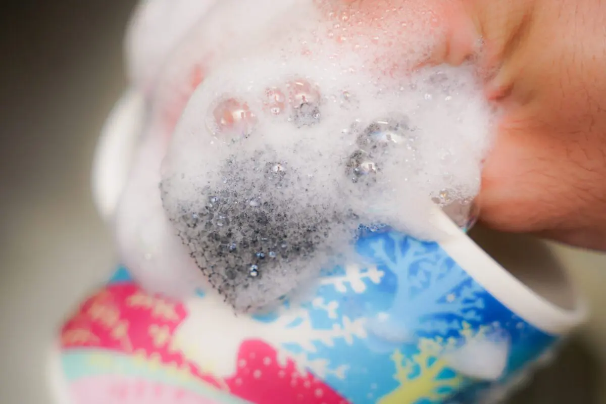 sirabee20240517sponge_1