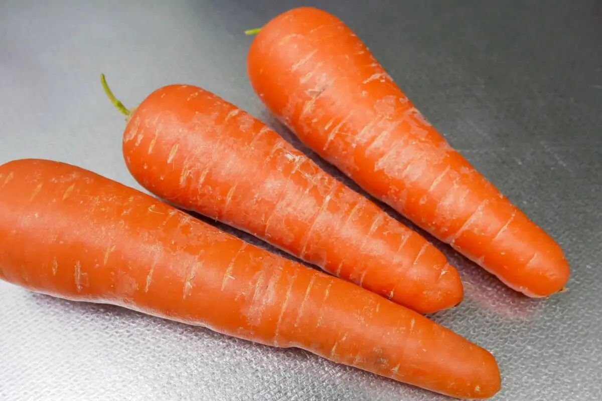 sirabee20240524carrot1