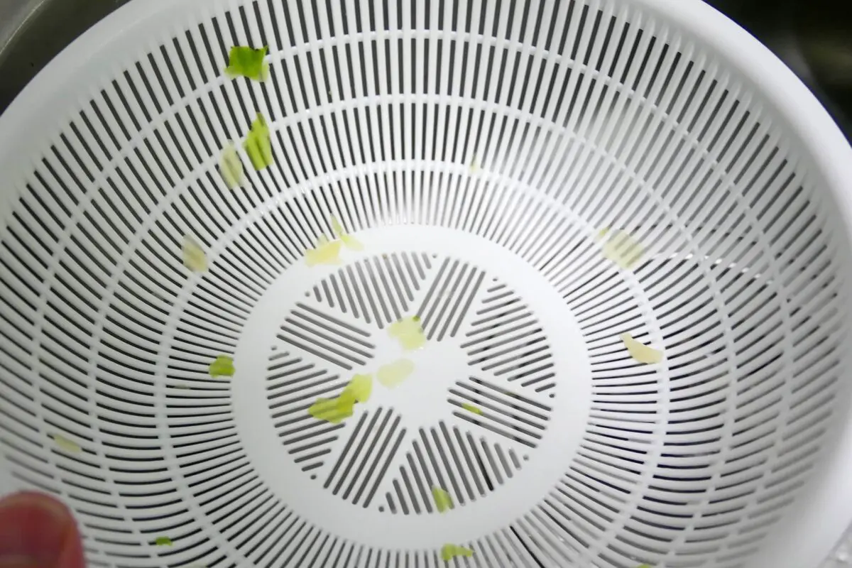 sirabee2040510peyoung5