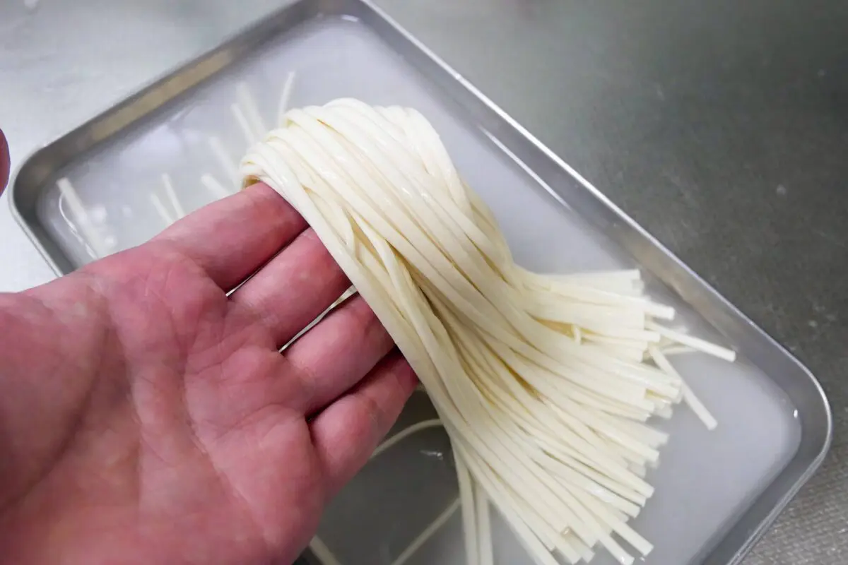 sirabee20240604udon3