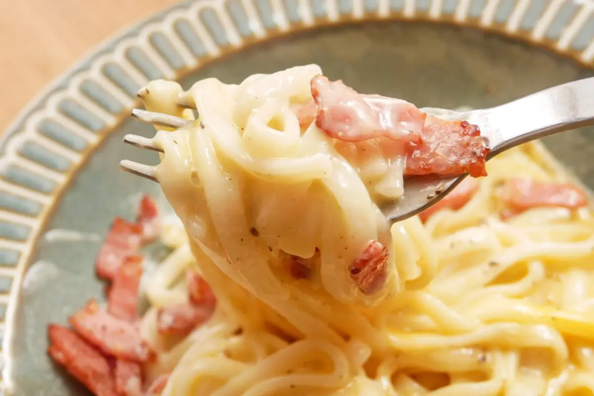 sirabee20240604udon7