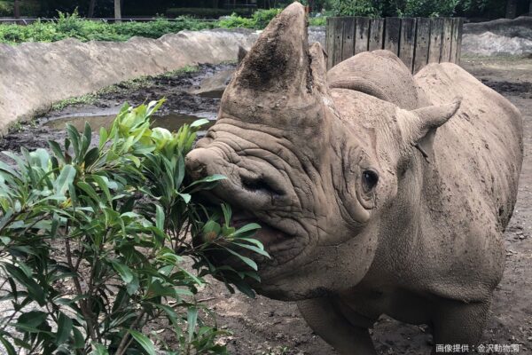 金沢動物園