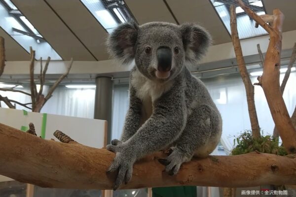 金沢動物園