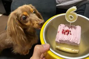 sirabee2024017chill12