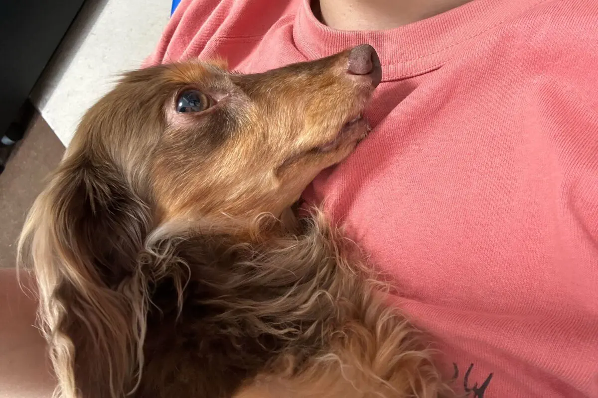 sirabee2024017chill5