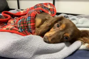 sirabee2024017chill8