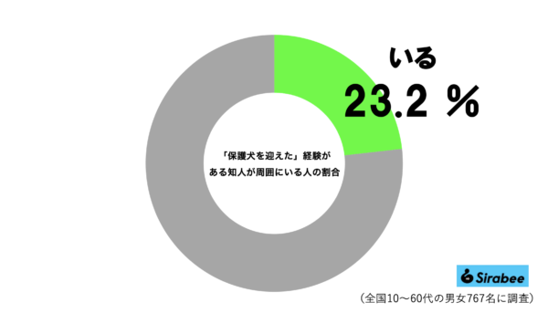 保護犬グラフ