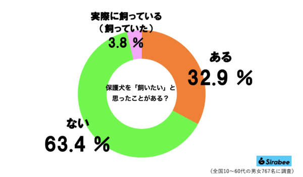 保護犬グラフ