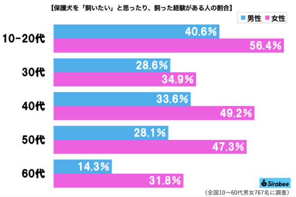 保護犬グラフ