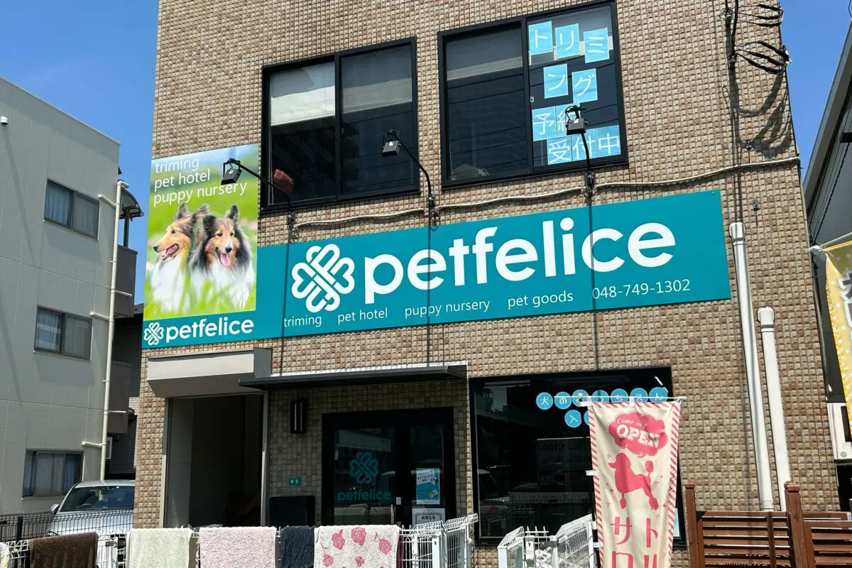 sirabee2024017petfelice4