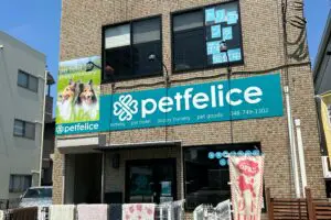 sirabee2024017petfelice4