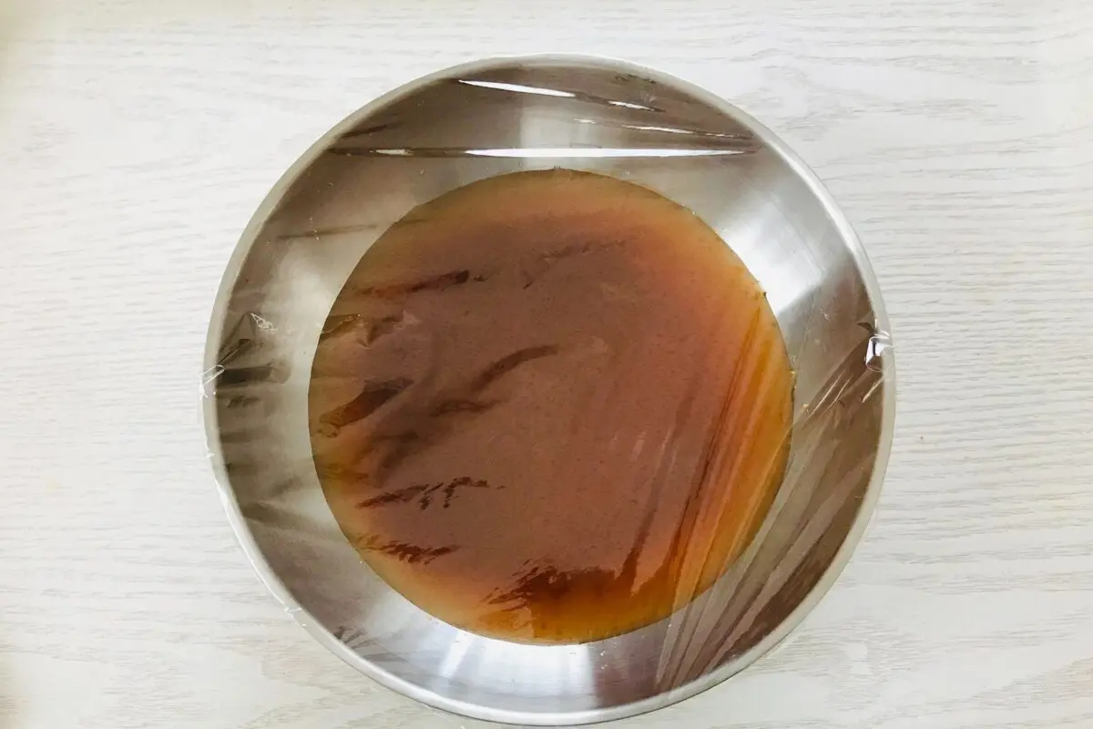 sirabee20240709cochujan2