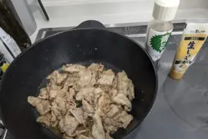 sirabee20240712riken004