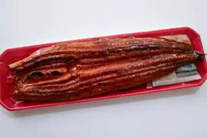 sirabee20240722unagi1