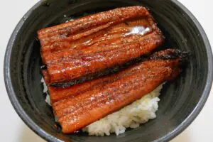 sirabee20240722unagi8