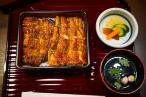 sirabee20240722unagi_14