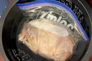 sirabee20240724torihamu7