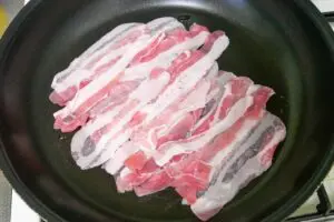 sirabee20240725negibuta2