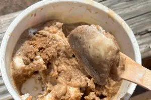 sirabee20240802riptonice8132