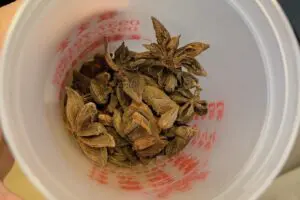 sirabee20240808luroufan11
