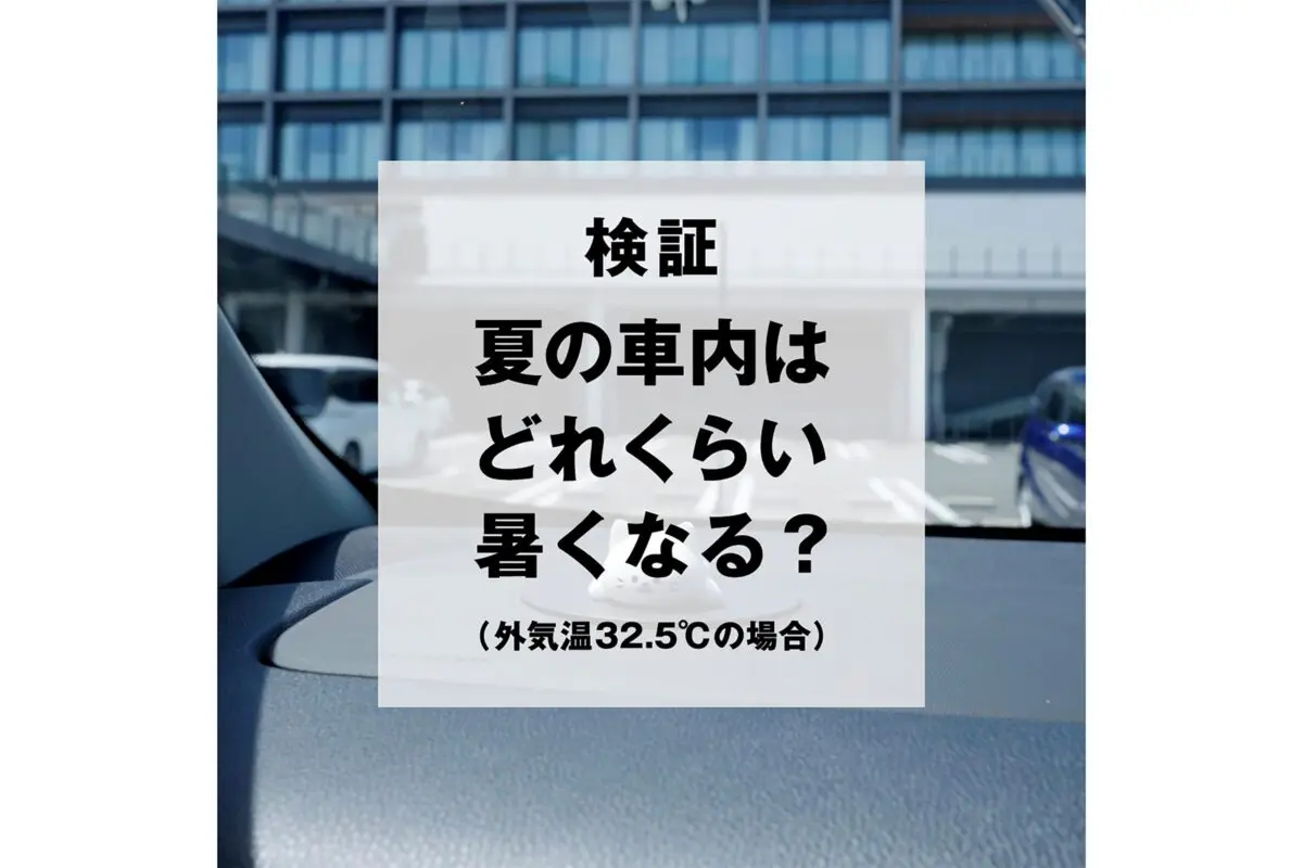 sirabee20240808tokeneko_4