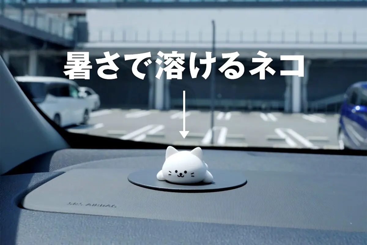 sirabee20240808tokeneko_5