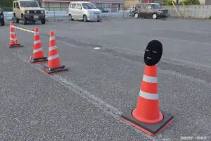 sirabee20240815ansoken4a