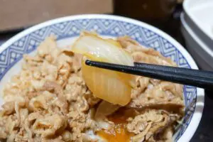 sirabee20240816yoshinoya2