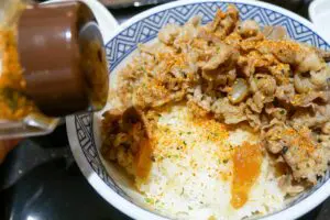 sirabee20240816yoshinoya3