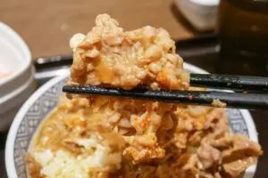 sirabee20240816yoshinoya5