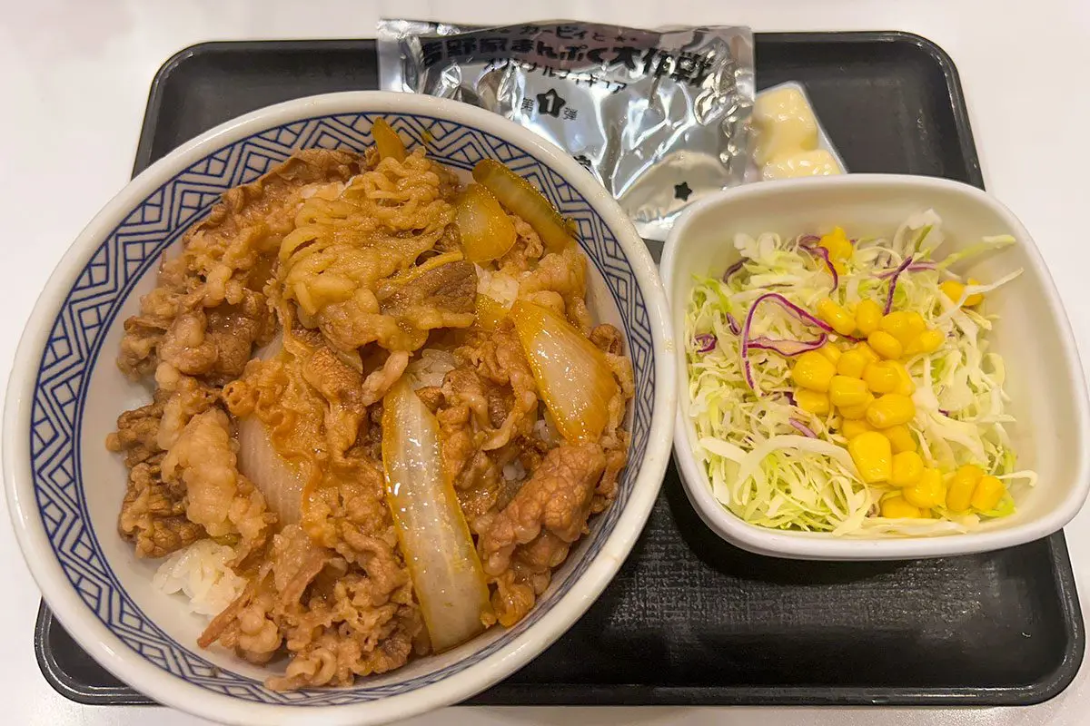 sirabee20240820yoshinoya8310