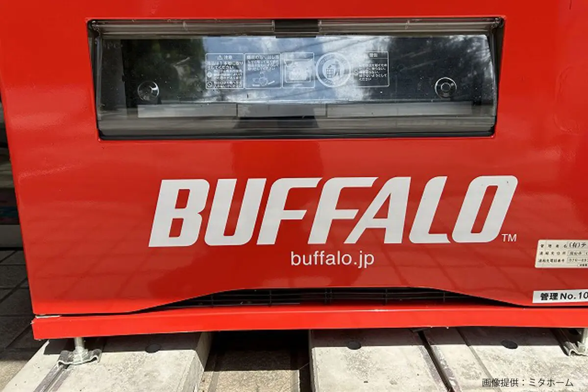 sirabee20240822buffalo2