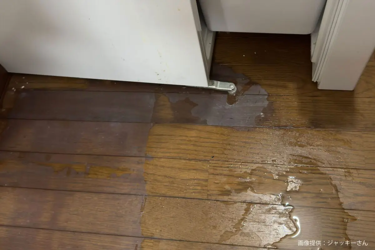 sirabee20240823freezer2