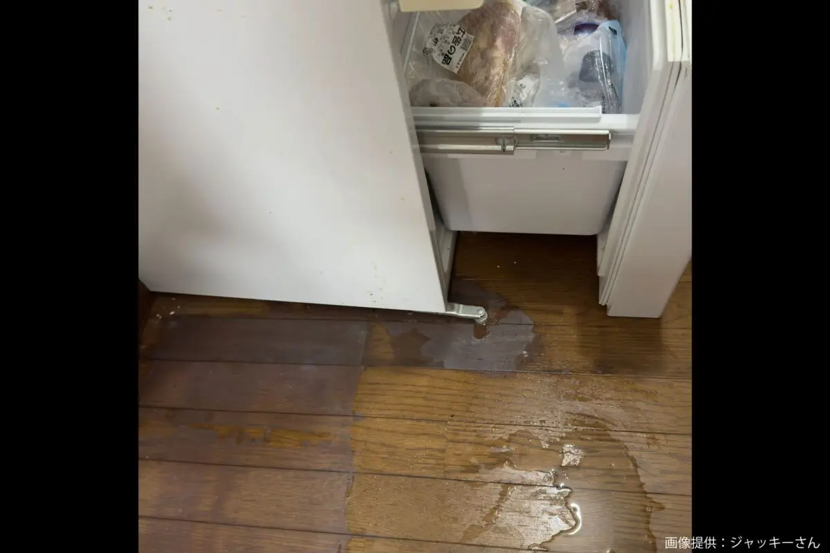 sirabee20240823freezer4