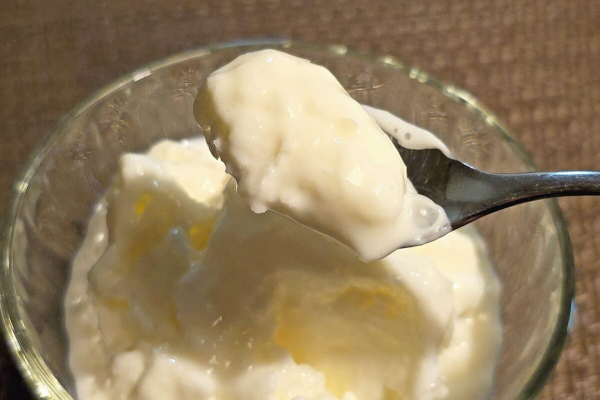 パックそのままヨーグルトアイス・実食