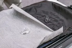 sirabee20240905XShelter7