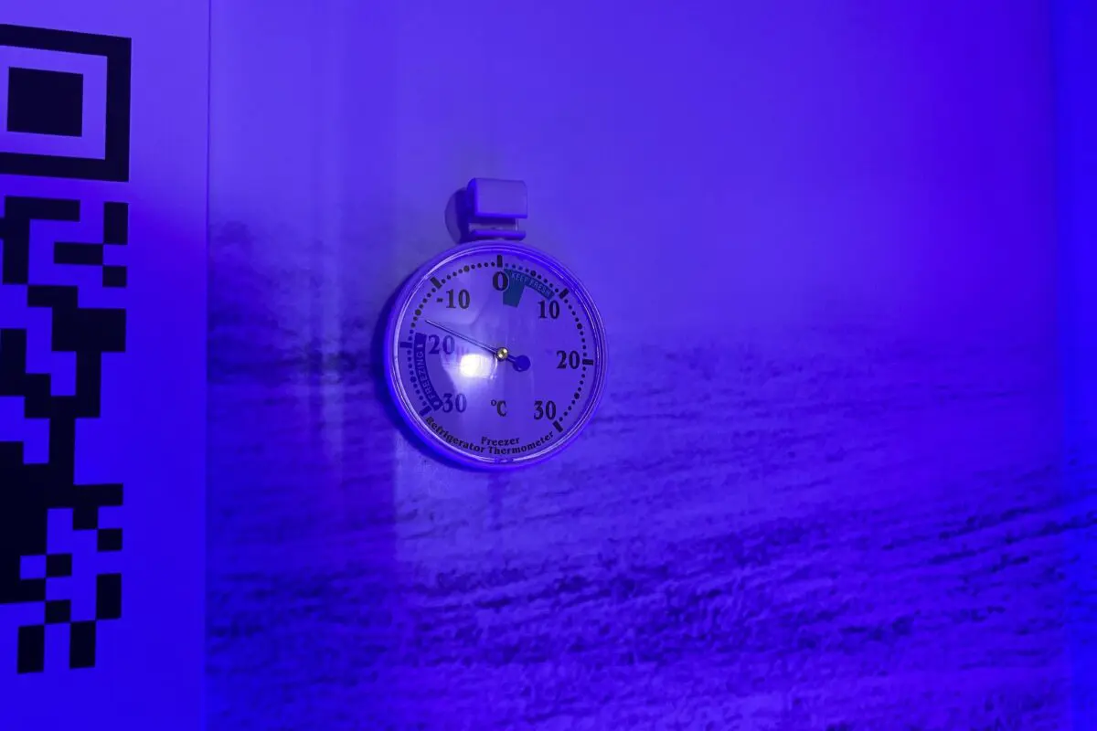 sirabee20240905XShelter8