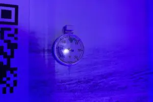 sirabee20240905XShelter8