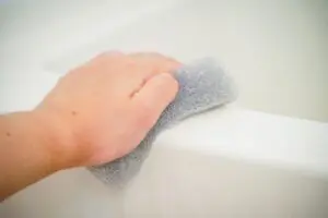 sirabee20240906sponge_10