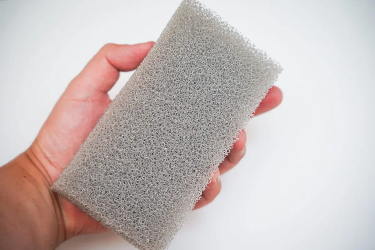 sirabee20240906sponge_3